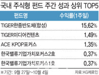 엔케이미디어(NK media) | 中 쏠림 속 빛난 K-미디어·엔터…약세장 속 ‘선방’[펀드와치]