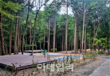 편백향 그윽한 남해휴양림서 가을의 정취 느끼세요