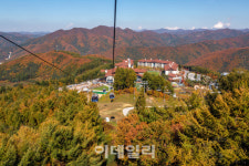 [여행브리프] 고원지대 가을 풍경과 지역 맛집 탐방 즐겨요 외