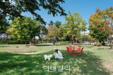 펫 전용 호텔서 즐기는 호캉스 키녹 펫크닉 프로모션
