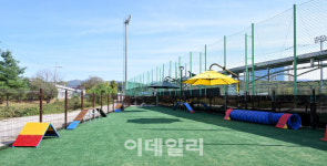 포천 종합운동장에 반려견놀이터 개장…24시간 개방