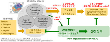 엠디헬스케어,국내최초 세포외소포(EV) 치료제 임상시험계획 승인