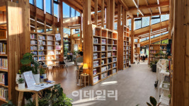 “힐링 그 자체” 나만 알고싶은 ‘숲 속 도서’ 누리는 이곳[서울곳곳]
