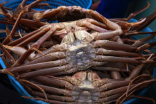 제철 별미인 줄 알았는데…온라인 불법 수산물 유통 단속 강화 추진