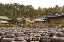 한국 전통 장(醬)의 신세계…간장 명인의 52년 비법은