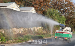 대구 한우 농장에서 럼피스킨 발생..올해 21건으로 늘어