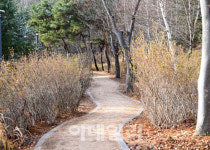 파주시, 월롱면에 맨발산책로 조성…올해만 9개 신설