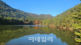 서천의 자랑에서 서해안 산림 휴양·관광의 중심으로 우뚝