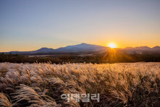 제주 오름 여행 어때요?…해비치 호텔 비 더 오르머! 패키지