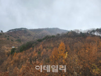 충남의 알프스 청양서 시작된 숲의 기적…산촌경제가 꿈틀