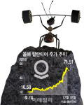 테슬라 제친 팔란티어…서학개미, 이달 6천억 넘게 순매수
