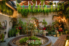 빌딩 숲 넘어 간직한 옛 이야기…세종시의 숨은 명소를 찾다[여행]