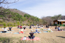 새해엔 자연 속 요가, 명상으로 심신 회복하세요