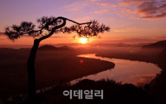 [포토]다가온 2025년 푸른 뱀의 해