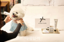 강아지와 즐기는 웰니스 펫캉스…레스케이프 펫캉스 패키지