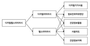 시니어 대상 디지털 헬스 리터러시 평가 방법 확립