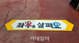 좌우를 살펴요…의정부시, 보행 선진국 횡단보도 안전시설 도입