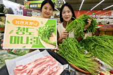 [포토] 농협유통, 청도 미나리 출시