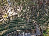 백제의 꽃으로 피어나, K-콘텐츠 명소로 우뚝 선 익산 [여행]