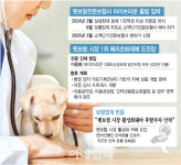 펫블루베이션 | "블루오션 펫보험 잡아라"…업계 경쟁 본격화