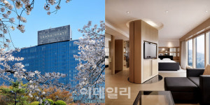 벚꽃길 따라 호캉스…서울부터 제주까지 호텔 봄꽃 명당 총정리