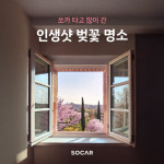 쏘카 타고 가장 많이 찾은 벚꽃 명소는 경주 대릉원