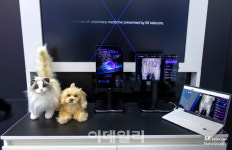 식품은 이미 레드오션…서비스업 진출 잇따라