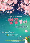 동두천 자유수호평화박물관 야간 벚꽃 명소로