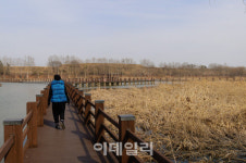 지구 역사가 차곡차곡…일몰 명소 안산서 숨은 보물 찾기 [여행]