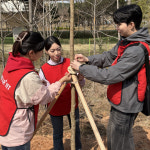 이스타항공, 서울 강서구와 나무 심기 사회공헌 진행