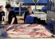 25도 낮에 트럭 위 널브러진 고기…또 백종원 논란
