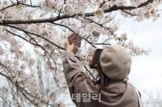[포토]널 담아 봄