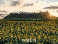 경기도, DMZ평화누리길 명소화…코스마다 스토리 풍성