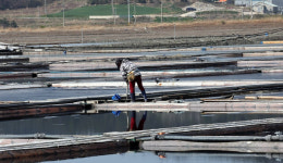 ‘IQ79’ 염전노예 착취한 가해자 근황…군의원 당선