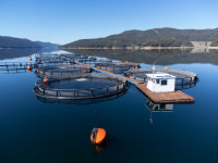 양식장 물고기 의사 수산질병관리사 올해 82명 탄생