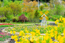 “봉화에선 꿀벌 테마 체험을, 세종선 문화공연 보세요”