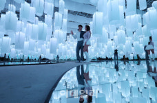 [포토]딜라이트 서울 미디어아트 개막 D-1