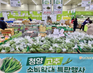 [포토] 농협하나로마트, 청양고추 최대 45%할인