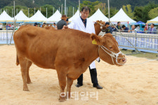경기도, 9월 임진각에서 한우경진대회…내달 3일까지 접수