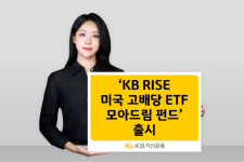 더모아펀드 | KB운용, ‘RISE 미국 고배당 ETF 모아드림’ 펀드 출시