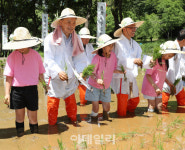 [포토] 모내기 체험하는 조성명 강남구청장