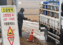 충남 서산 오리 농장서 조류인플루엔자 확진, 22일까지 전국 일제 소독