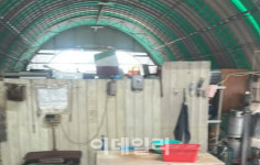 군산 농장 창고서 개 사체 120마리 와르르…농장주 검거