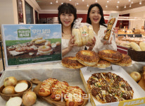 [포토] 무안 양파 베이커리 출시