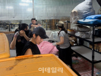 시민들 힘모아 유기견들 보호하는데..또 쫓겨납니다[댕냥구조대]
