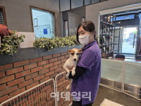 유기 반려견 찾아줘도 또…작정하고 버렸구나 싶죠 [르포]