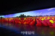 종잡을 수 없는 여름날씨, 경기도에서 즐기는 실패 없는 휴가