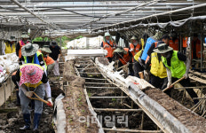 의정부 시민·공직자·농협 가평 수해복구 지원 구슬땀