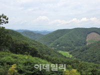 산주와 지역 공동체가 함께 푸른 황금숲을 일구다