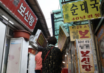 개식용종식법 시행 1년…전국 개사육농장 70% 문 닫아